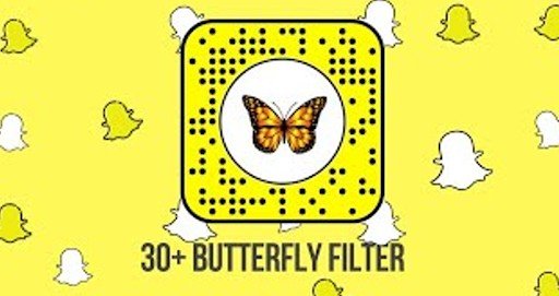 Memorable Butterfly Lens Content