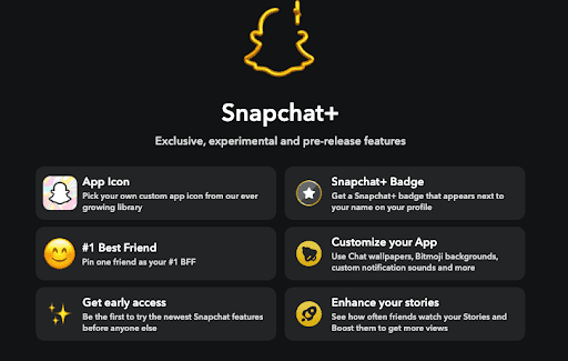 Snapchat Plus Flexing