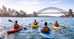 Experience Sydney Kayak Your Ultimate Urban Paddling Adventure